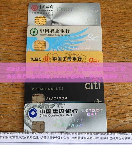 农金还款逾期了怎么办应对方法