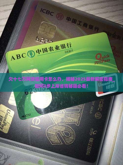 欠十七万网贷信用卡怎么办