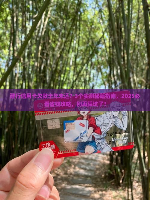 建行信用卡欠款半年未还怎么办