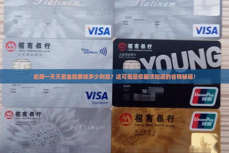 天星金融逾期一天多少利息计算方式