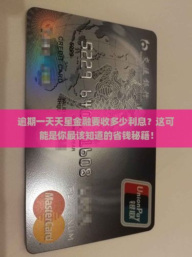 天星金融逾期一天多少利息计算方式
