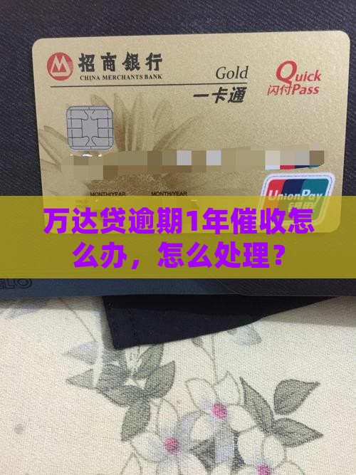 万达贷逾期1年催收怎么办