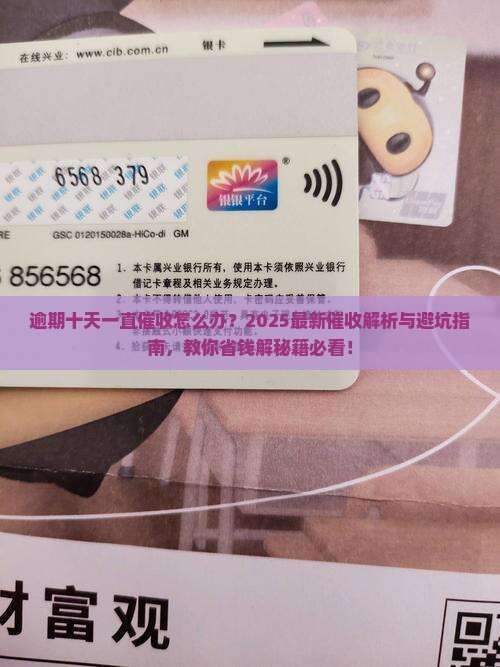 逾期十天一直催收怎么处理