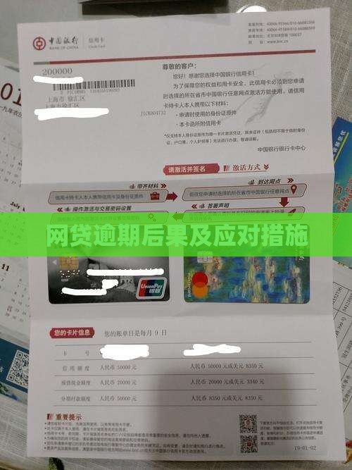 高额网贷逾期后果及应对措施