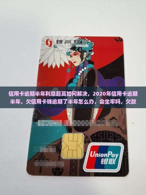 信用卡逾期半年利息超高如何解决