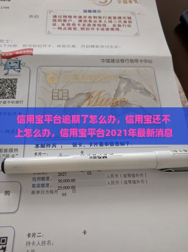 信用宝平台逾期了怎么办