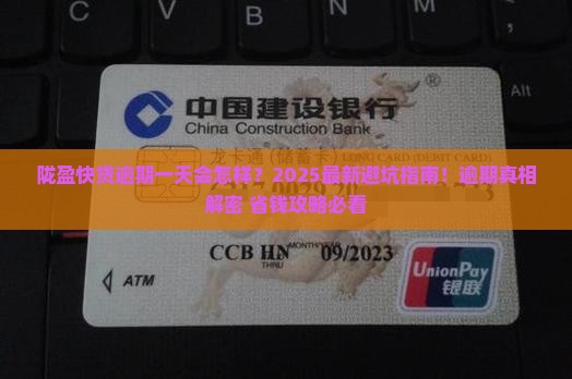 陇盈快贷逾期一天