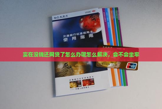 实在没钱还网贷了怎么办呢