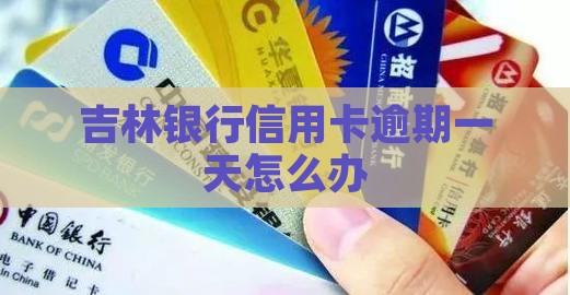 吉林银行信用卡逾期一天怎么办