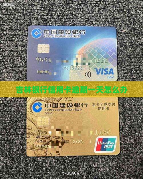 吉林银行信用卡逾期一天怎么办