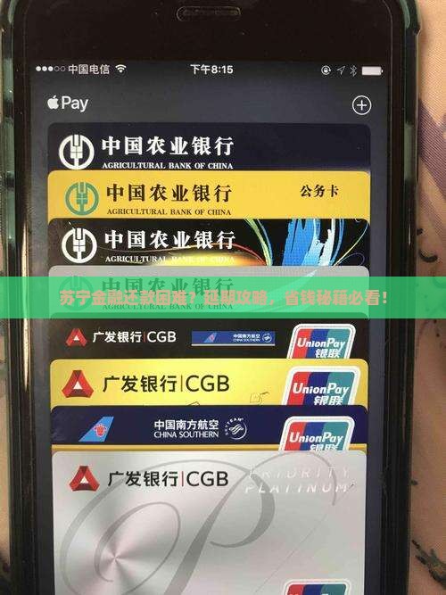 苏宁金融延期还款流程及条件解读