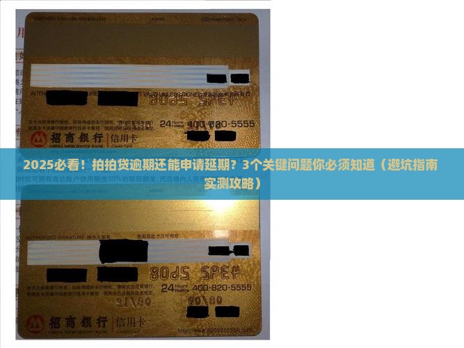 拍拍贷逾期可以申请延期还款吗情况及应对措施