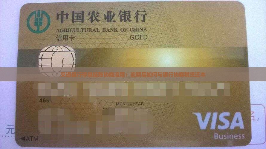 交通银行税贷停息还本的具体流程是什么