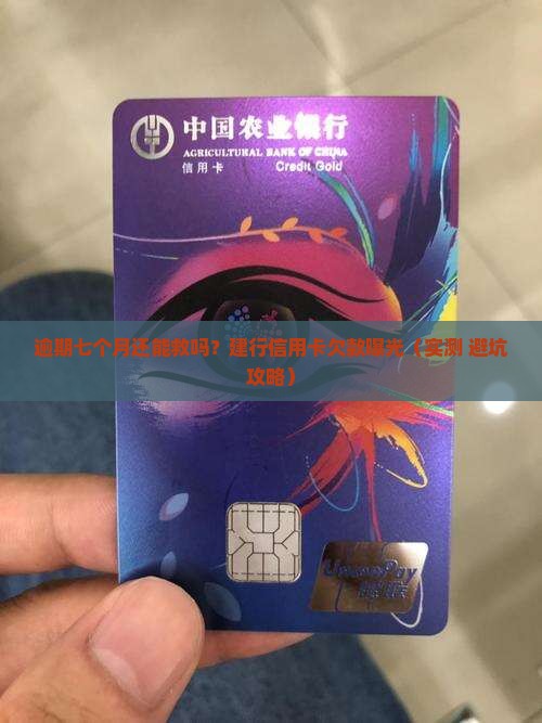 建行信用卡逾期七个月利息