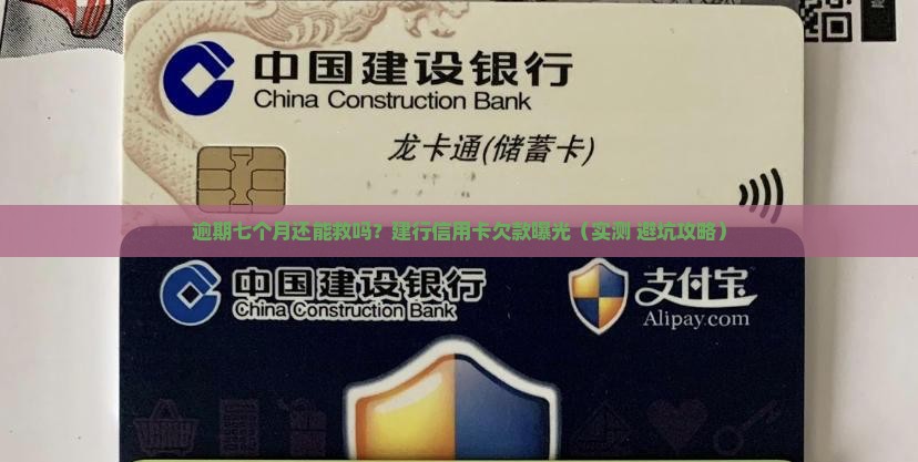 建行信用卡逾期七个月利息