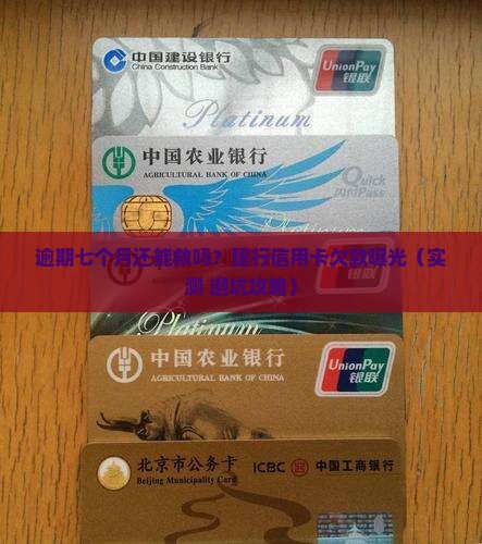 建行信用卡逾期七个月利息