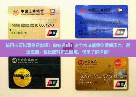 信用卡可以暂停还款啊