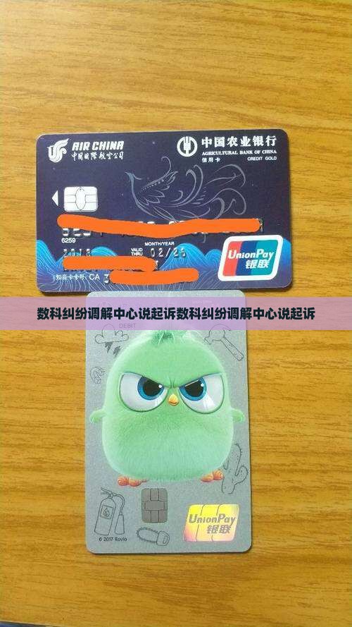 数科纠纷调解中心说起诉