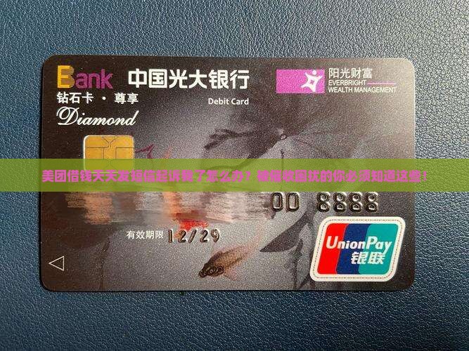 美团借钱天天发短信起诉我了怎么办呢