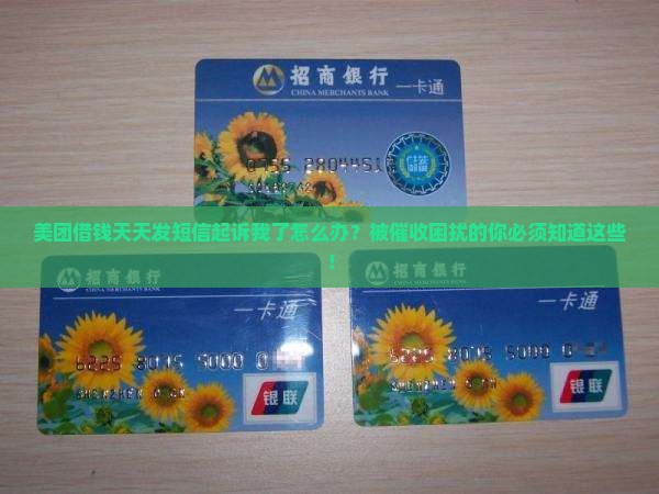 美团借钱天天发短信起诉我了怎么办呢