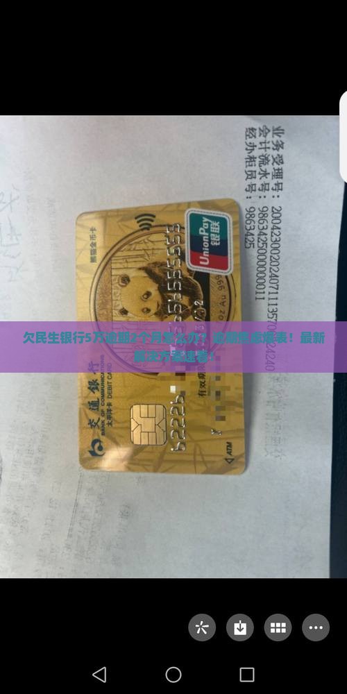 欠民生银行5万逾期2个月如何解决