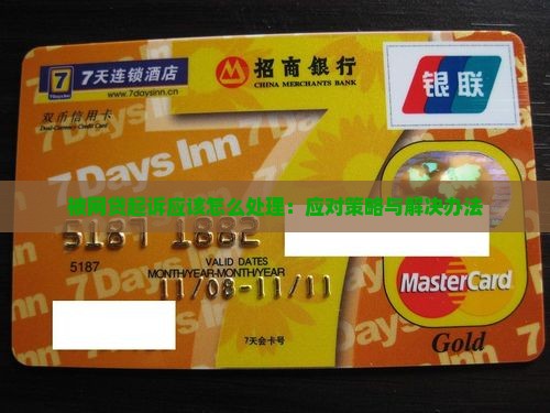 被网贷起诉应该怎么处理：应对策略与解决办法