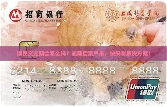 博民贷逾期会怎么样？逾期后果严重，快来看解决方案！