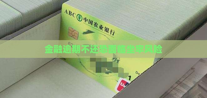 金融逾期不还恐面临坐牢风险