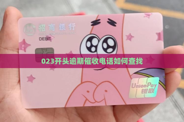 023开头逾期催收电话如何查找