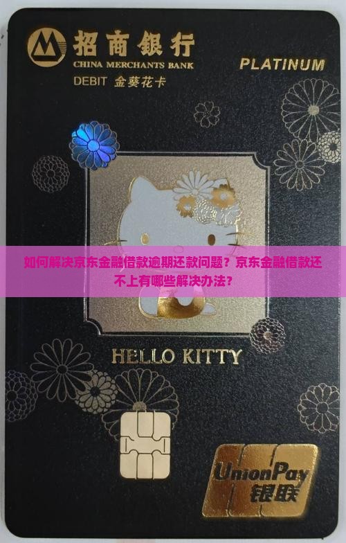 如何解决京东金融借款逾期还款问题？京东金融借款还不上有哪些解决办法？