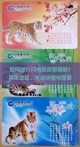 如何进行闪电贷诉前调解？具体流程、关键步骤与需要注意哪些法律细节？