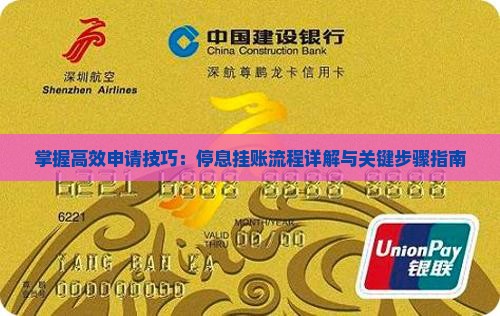 掌握高效申请技巧：停息挂账流程详解与关键步骤指南