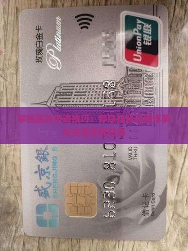 掌握高效申请技巧：停息挂账流程详解与关键步骤指南