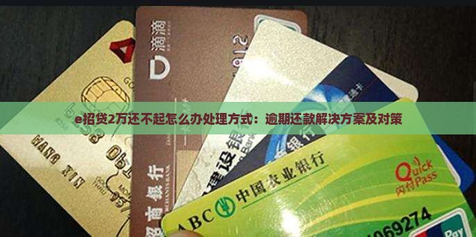 e招贷2万还不起怎么办处理方式：逾期还款解决方案及对策