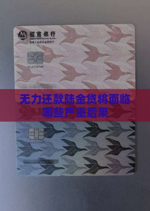 无力还款陆金贷将面临哪些严重后果
