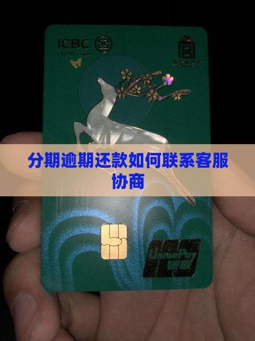 分期逾期还款如何联系客服协商