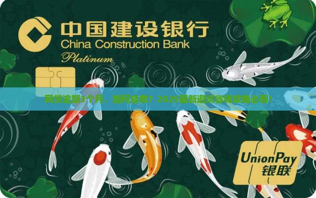 网贷全面逾期3个月了