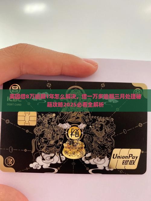 美团借8万逾期1年怎么解决