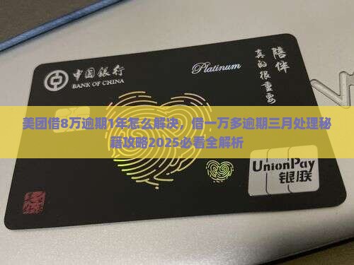 美团借8万逾期1年怎么解决
