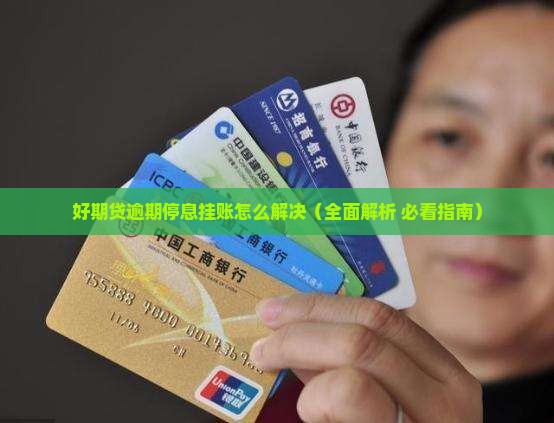 好期贷逾期停息挂账的解决方法
