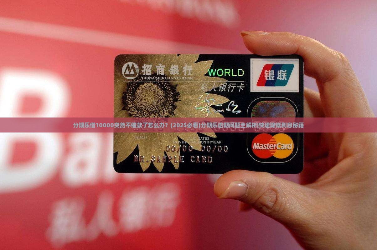 分期乐借10000突然不催款了怎么办 分期乐借10000突然不催款了怎么办