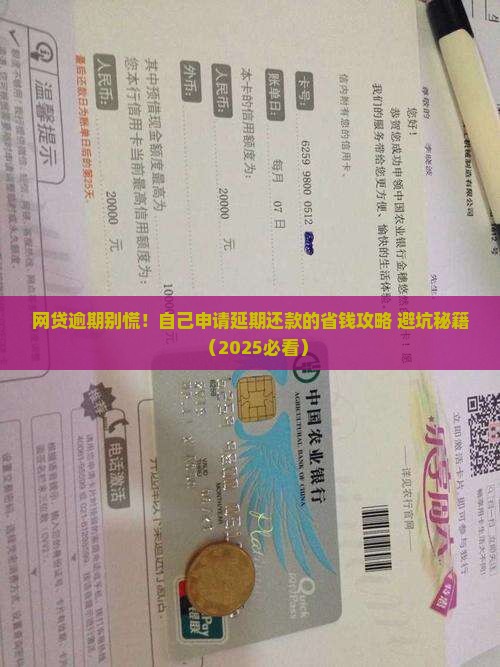 网贷能自己申请延期还款吗