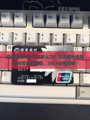 白条逾期240天了怎么办