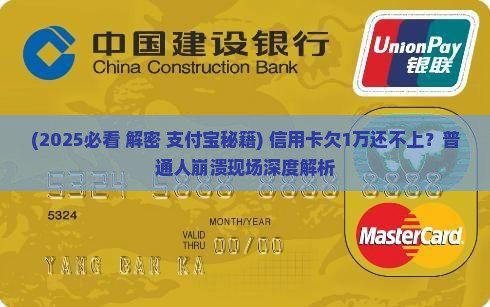 信用卡欠款1万还不起怎么办处理方式