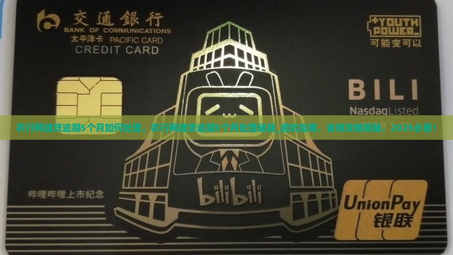 农行网捷贷逾期5个月如何处理
