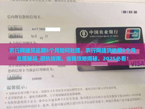 农行网捷贷逾期5个月如何处理