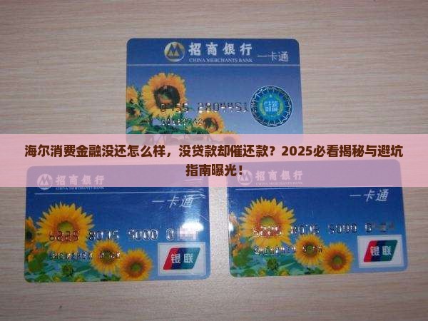 海尔消费金融没还怎么样