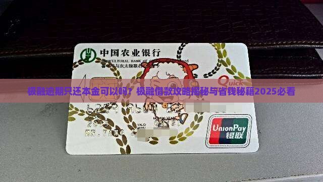 极融贷款只还本金可以吗