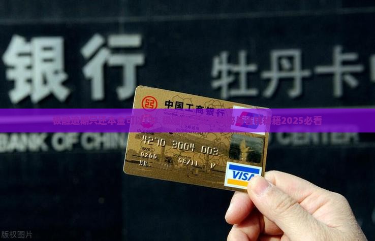 极融贷款只还本金可以吗
