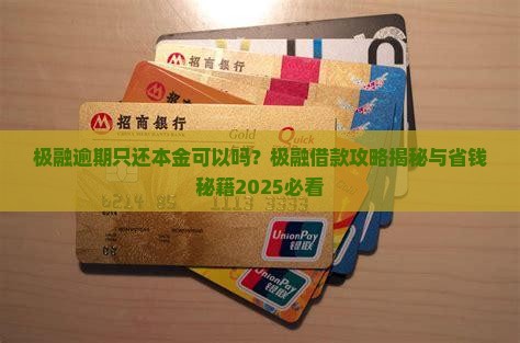极融贷款只还本金可以吗